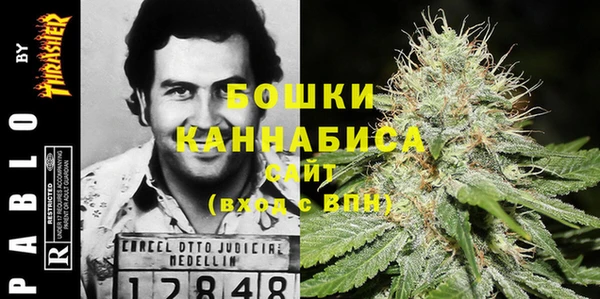 трава Сосновый Бор